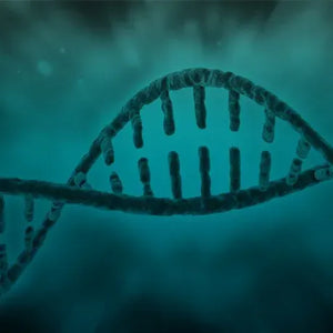 Male Fertility Testing