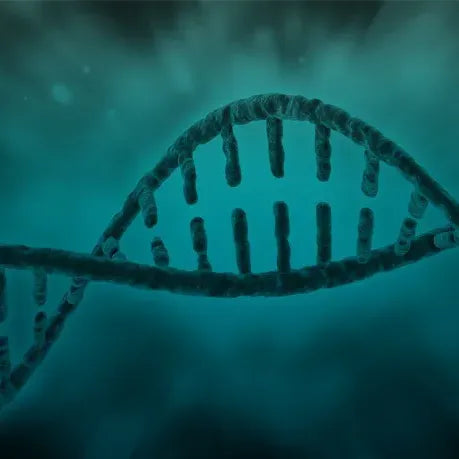 Male Fertility Testing